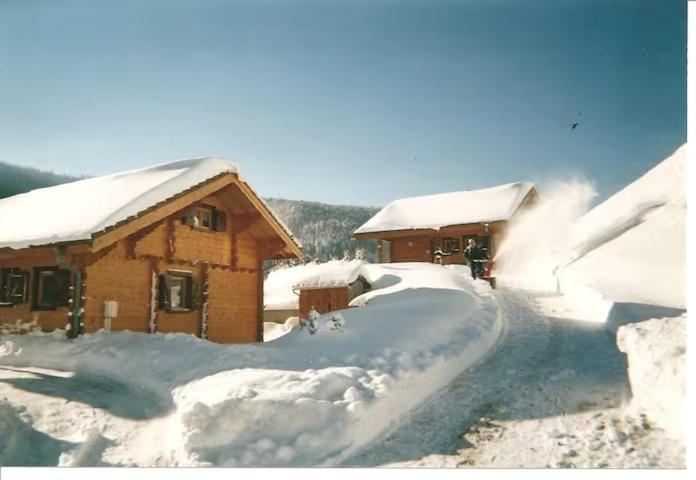 Le "Chalet De Minette" 2 Etoiles La Bresse Luaran gambar