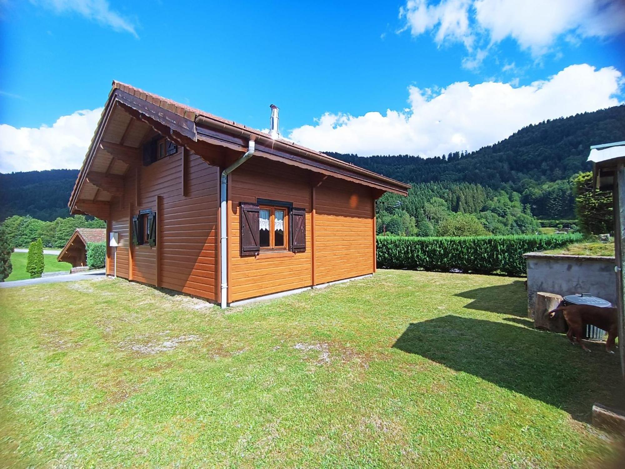 Le "Chalet De Minette" 2 Etoiles La Bresse Luaran gambar